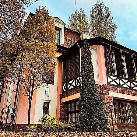 Party Villa Holiday Rent Балатонфёльдвар Экстерьер фото