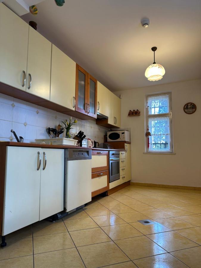 Party Villa Holiday Rent Балатонфёльдвар Экстерьер фото