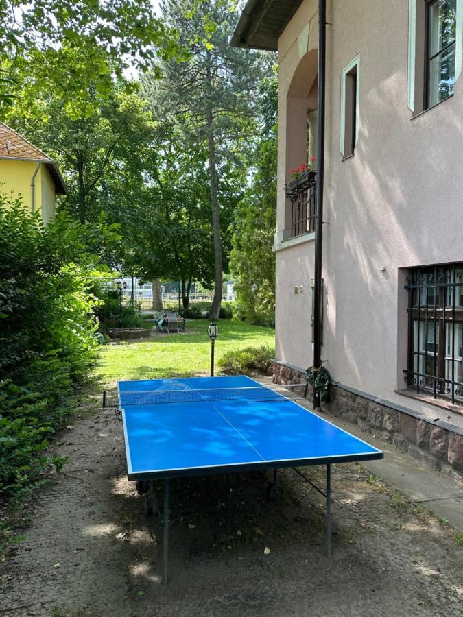 Party Villa Holiday Rent Балатонфёльдвар Экстерьер фото