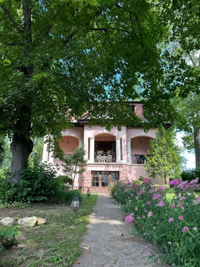Party Villa Holiday Rent Балатонфёльдвар Экстерьер фото